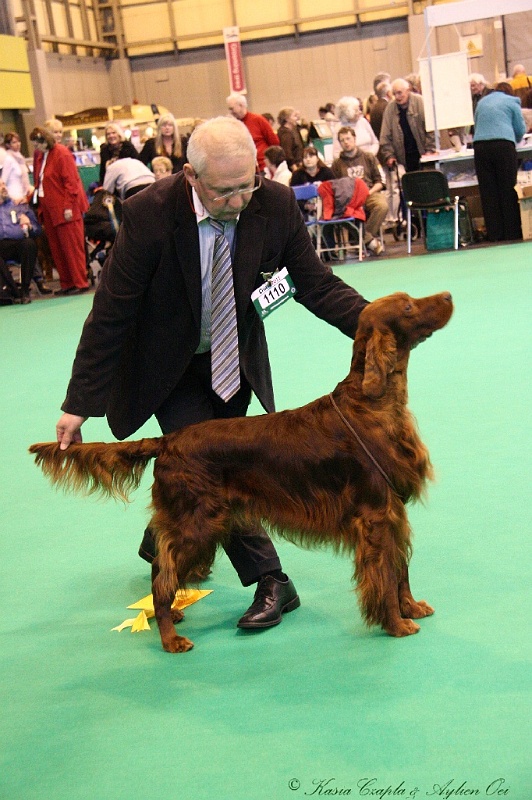 Crufts2011_2 134.jpg